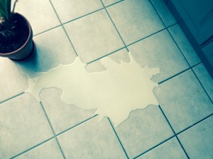 Freiburg spilled milk